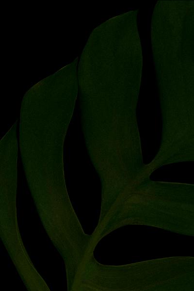 彻底理解CSS Flexbox布局，看这一篇就够了！